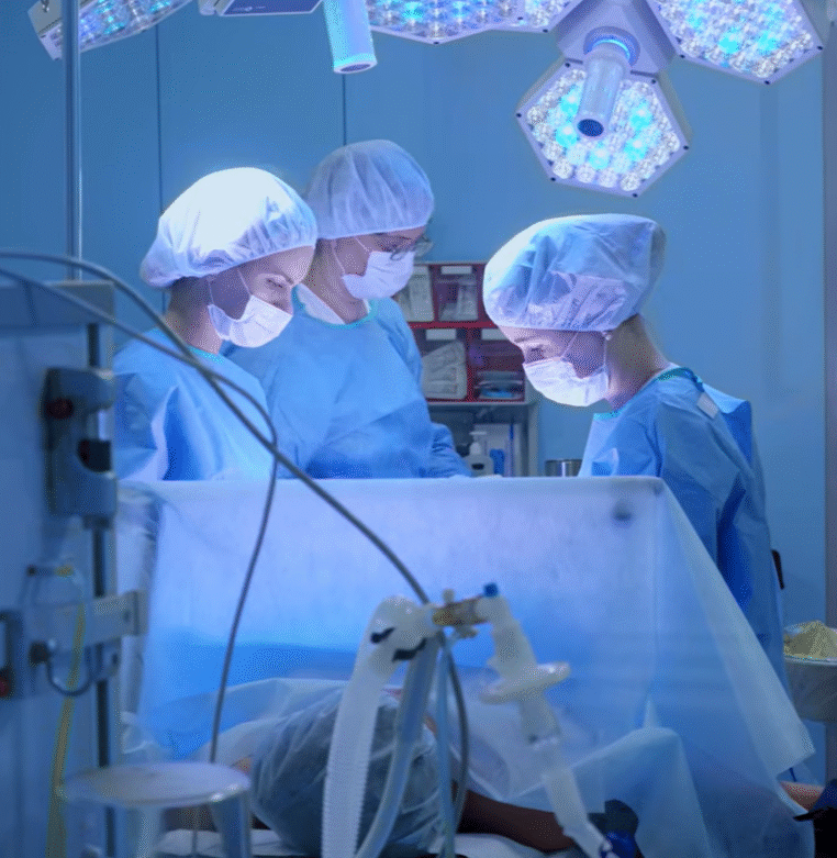 Zrzut ekranu 2025-09-10 133801